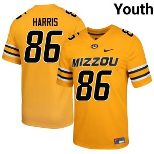 Youth #86 Mizzou Tigers Jordon Harris NCAA Gold Jersey 942697-722